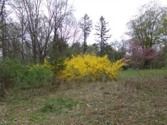 Land for sale in Montague Township, Sussex County