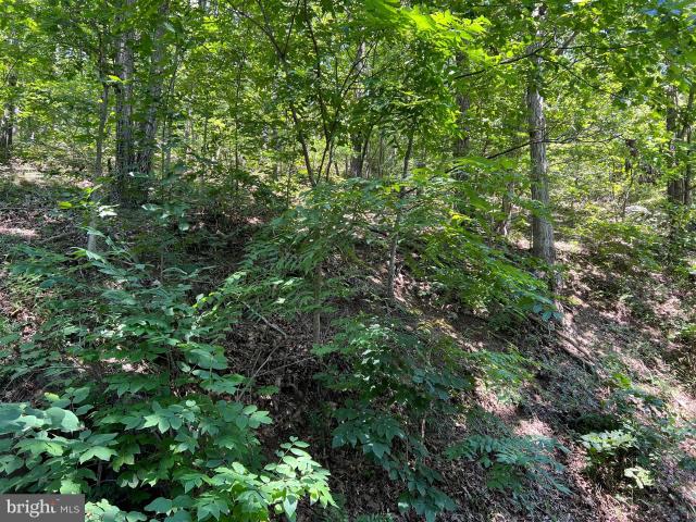 Land for sale in Warfordsburg, Pennsylvania