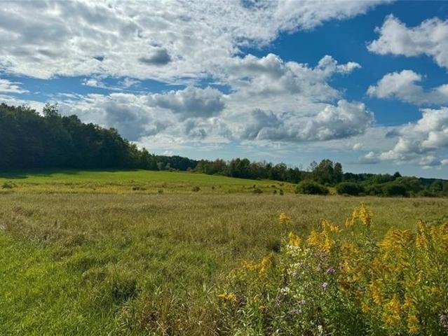 Land for sale in Wattsburg, Pennsylvania