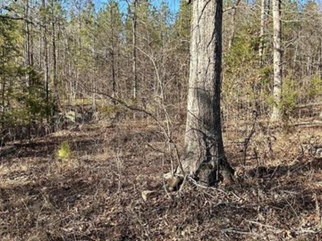 Land for sale in Tennessee