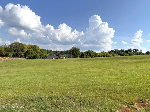 Land for sale in Friendsville, East Tennessee
