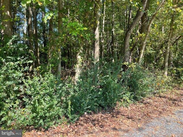 Land for sale in Delmar, Delaware
