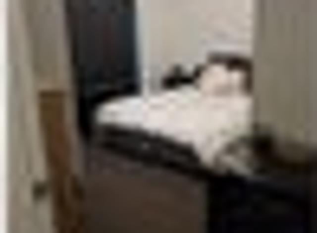 Townhouse for rent in Hamilton, Waikato