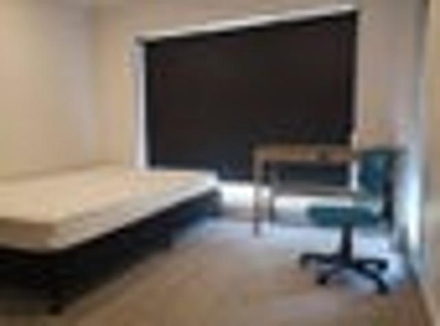 House for rent in Hamilton, Waikato