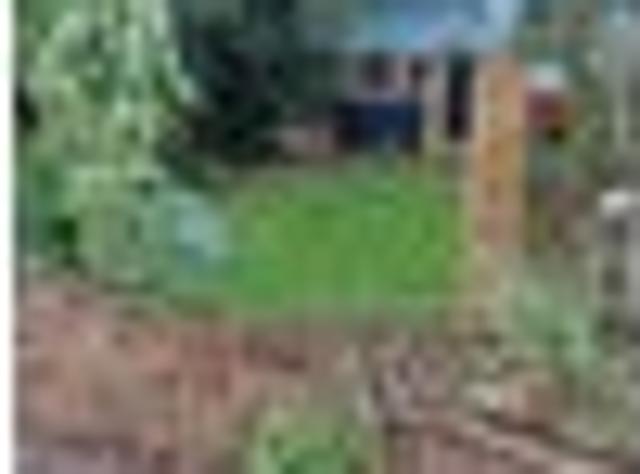 House for rent in Hamilton, Waikato
