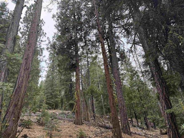 Land for sale in Modoc, California