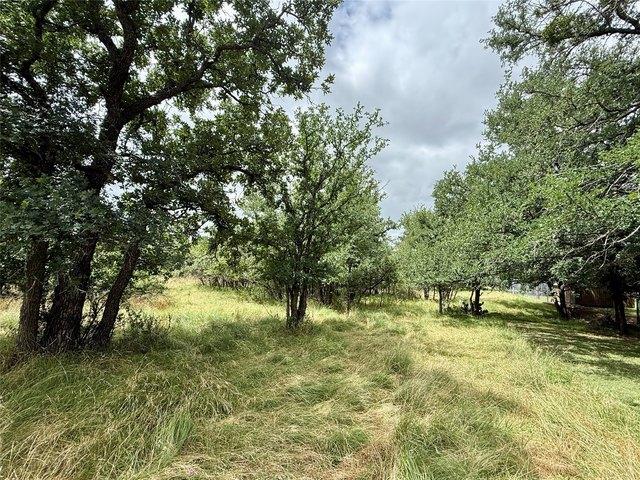 Land for sale in Brownwood, Texas