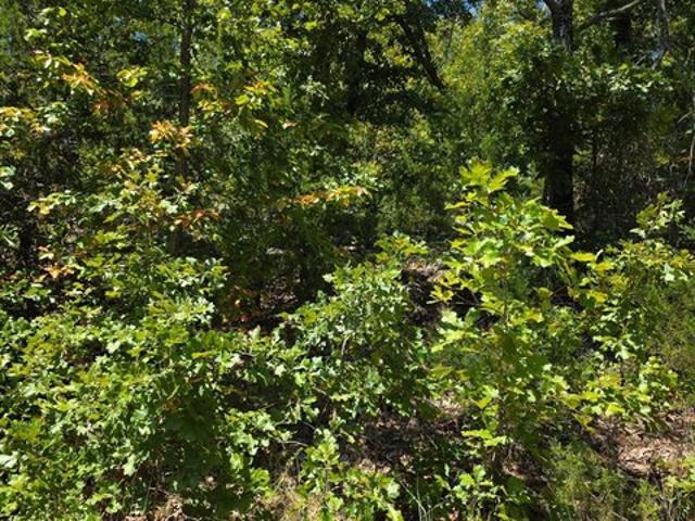 Land for sale in Ark