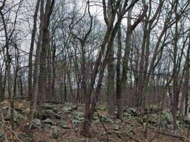Land for sale in Sussex, New Jersey