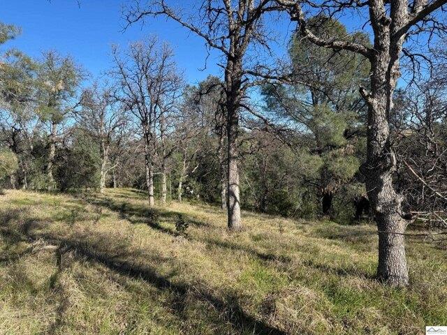 Land for sale in Corning