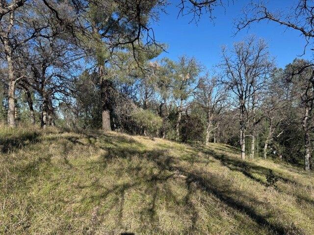 Land for sale in Corning