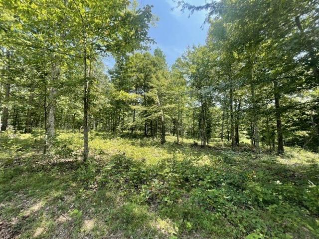 Land for sale in Tennessee
