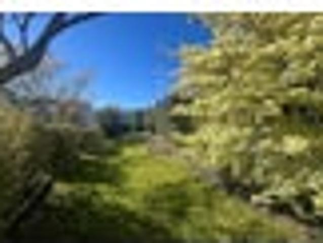 House for rent in Hillmorton, Spreydon-Cashmere Community