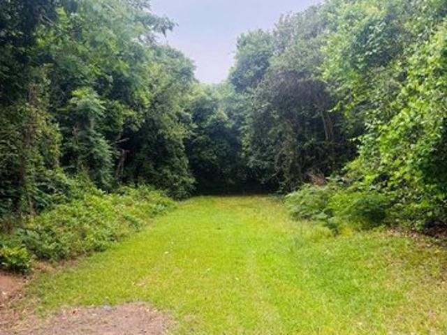Land for sale in Rochelle, Georgia