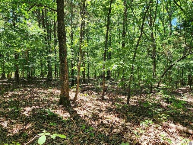 Land for sale in Murray