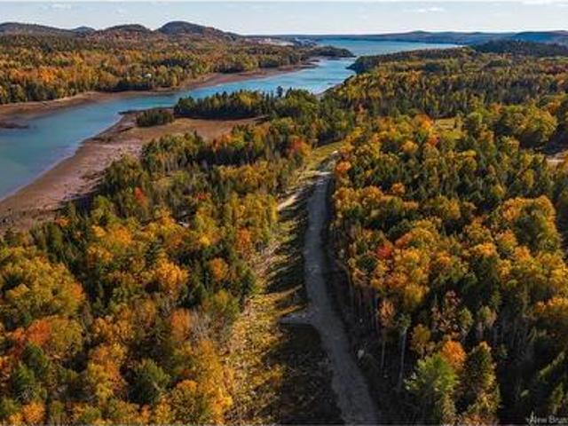 Land for sale in Saint David Parish, Municipal District of St. Stephen