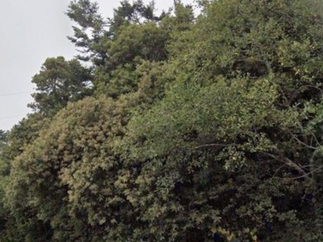 Land for sale in Oregonia