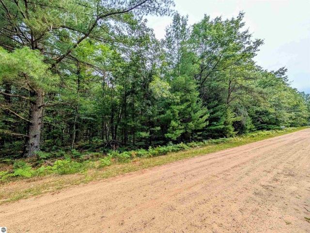 Land for sale in Alger, Michigan