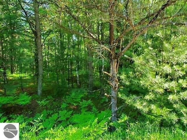 Land for sale in Alger