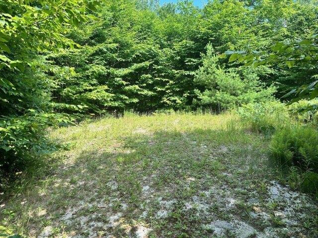 Land for sale in Kingfield, Maine