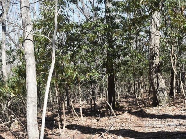 Land for sale in Jefferson, North Carolina