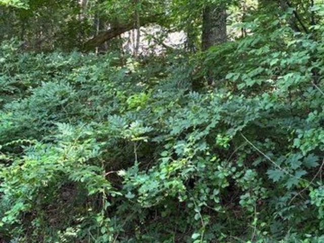 Land for sale in Wanaque