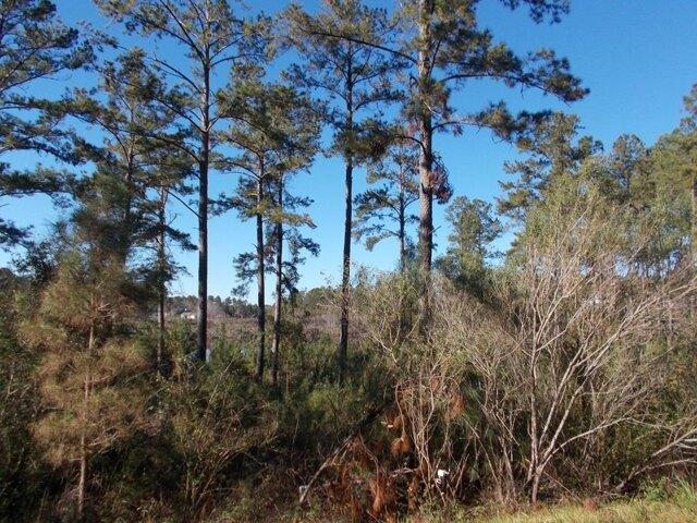 House for sale in Douglas, Georgia