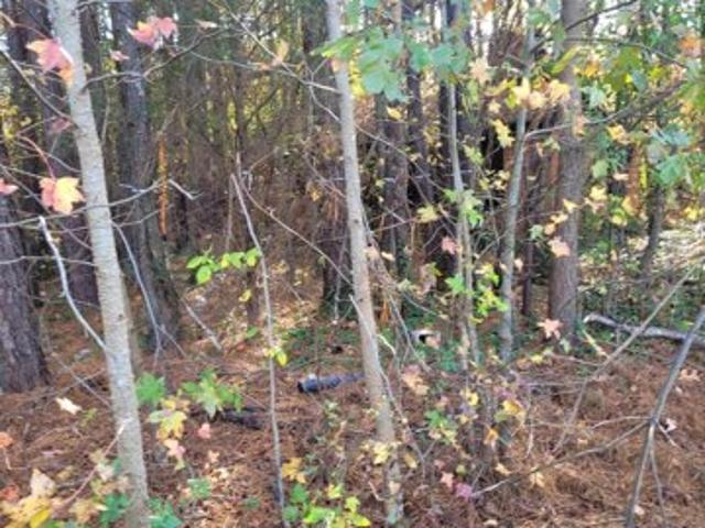 Land for sale in Fuquay Varina