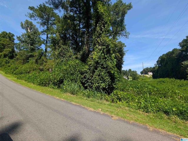 Land for sale in Weaver, Alabama