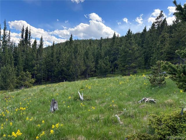 Land for sale in Idaho Springs, Clear Creek County