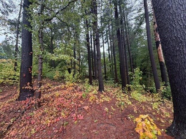 Land for sale in Maplewood, Grafton