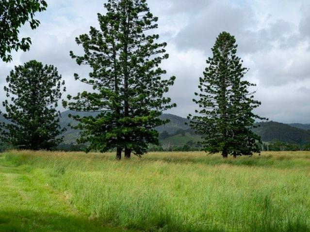 Cottage for sale in Kings Creek, Queensland