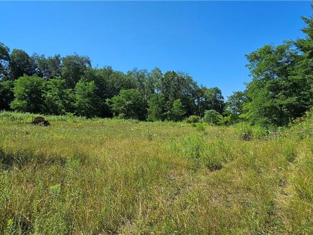 Land for sale in Dryden, New York