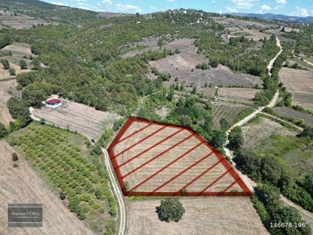 Ahırlı, Kavak içerisinde satılık Arsa
