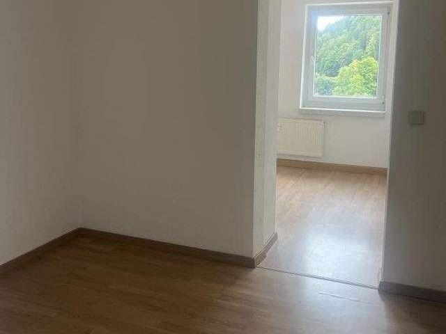 Apartment mieten in Rechenberg-Bienenmühle, Mittelsachsen