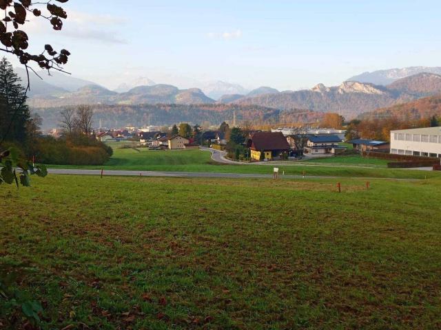 Immobilie kaufen in Adnet, Salzburg
