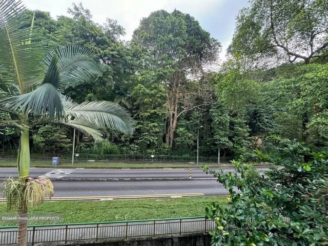 Condominium for rent in Upper Bukit Timah
