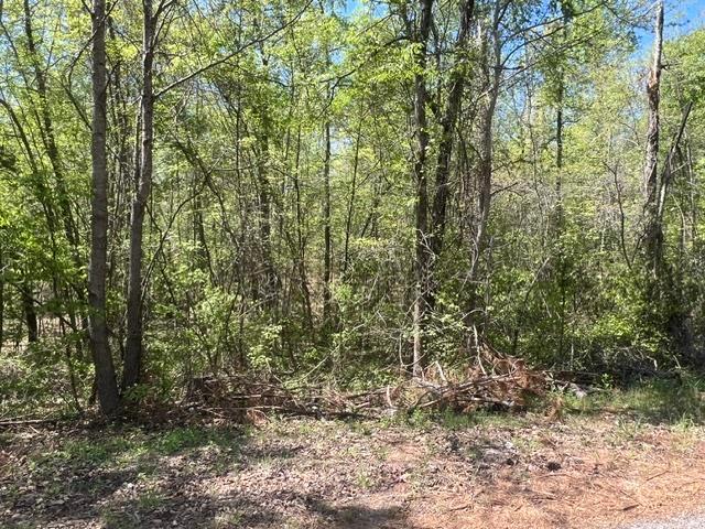 Land for sale in Tennessee