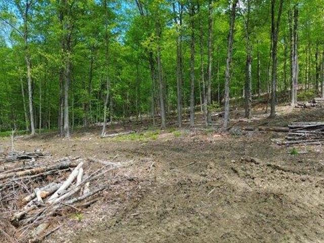Land for sale in New Hampshire