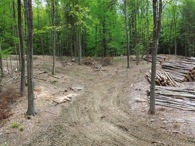 Land for sale in New Hampshire