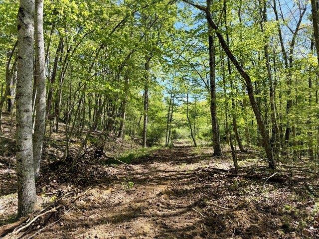 Land for sale in Cool Ridge, West Virginia