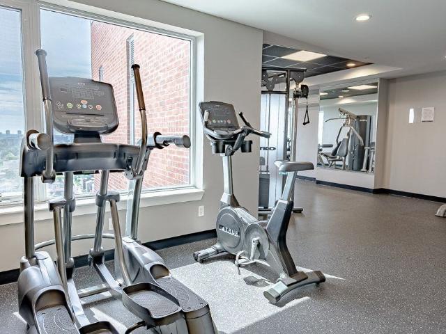 Apartment for rent in Mulhurst Bay, Ontario