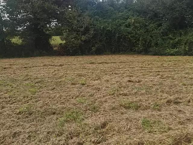 Terrain vente à France métropolitaine, Hinx