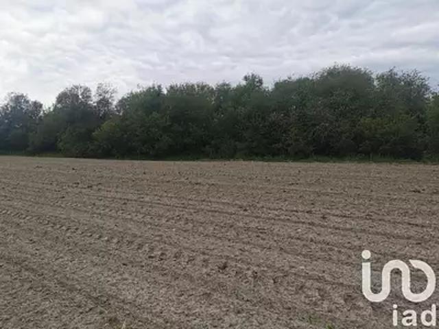 Terrain vente à France métropolitaine, Hinx