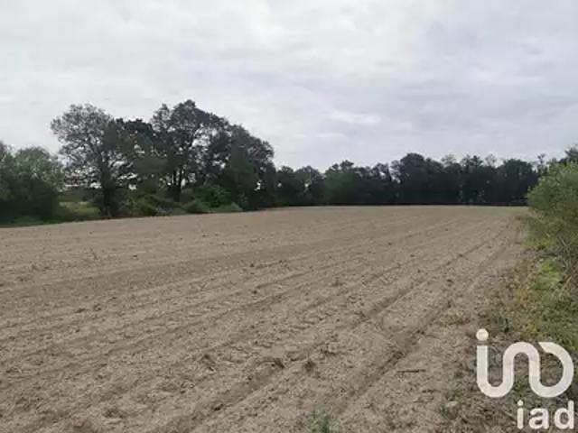 Terrain vente à France métropolitaine, Hinx