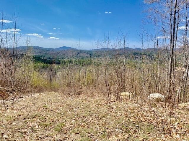Land for sale in Hiram, Maine