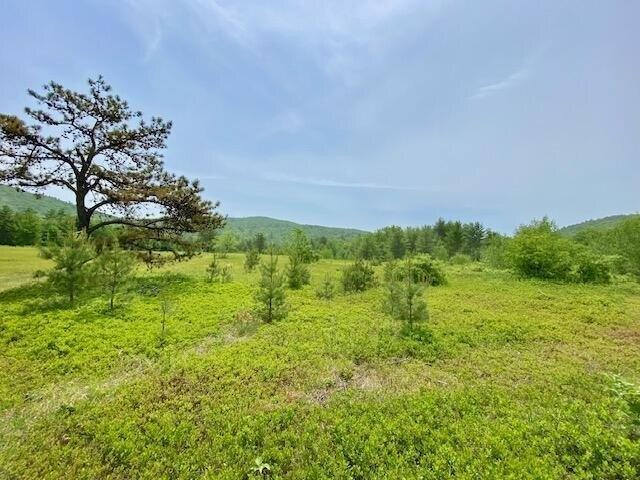 Land for sale in Porter, Maine