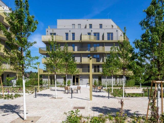 Apartment kaufen in Floridsdorf, Wien