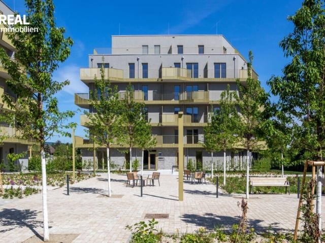 Wohnung kaufen in Seestadt, Wien