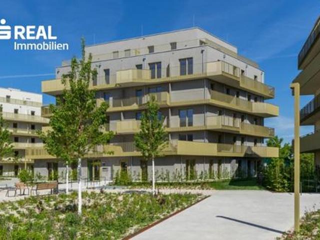 Immobilie kaufen in Wien